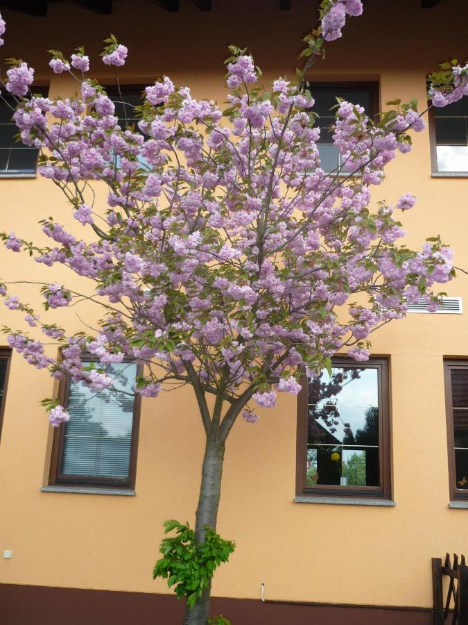 Willmersdorfer Hof Cottbus Eksteriør billede